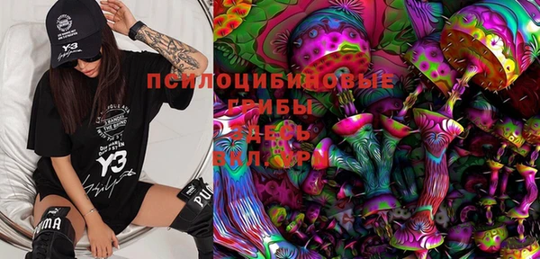 ПСИЛОЦИБИНОВЫЕ ГРИБЫ Алзамай