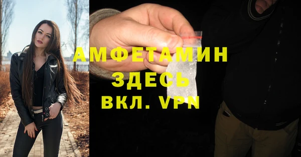 индика Абинск