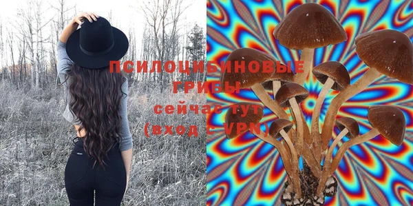 синтетический гашиш Алексин