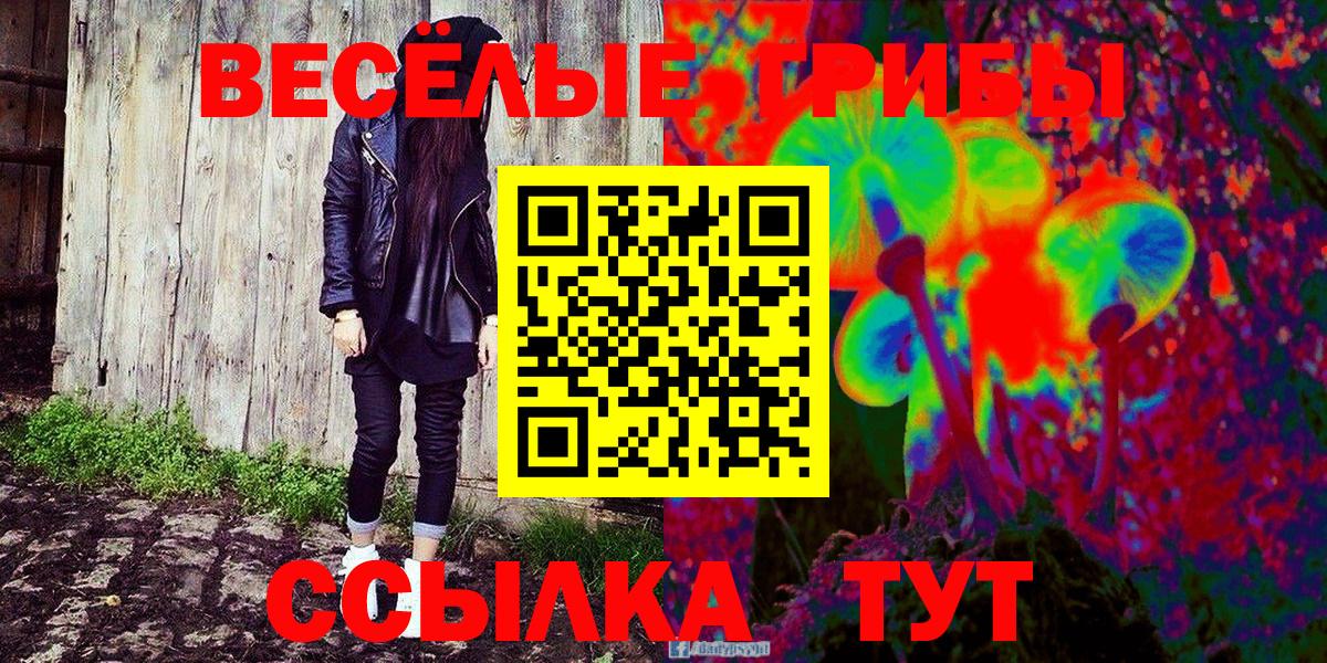 Усть-Лабинск  Псилоцибиновые грибы GOLDEN TEACHER  Вход с VPN 