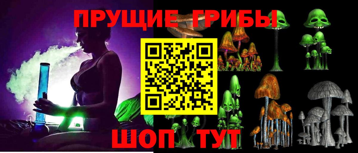 Галлюциногенные грибы Cubensis Усть-Лабинск
