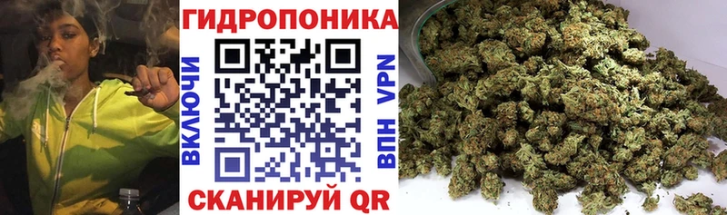 Бошки Шишки THC 21%  MEGA зеркало  Усть-Лабинск 
